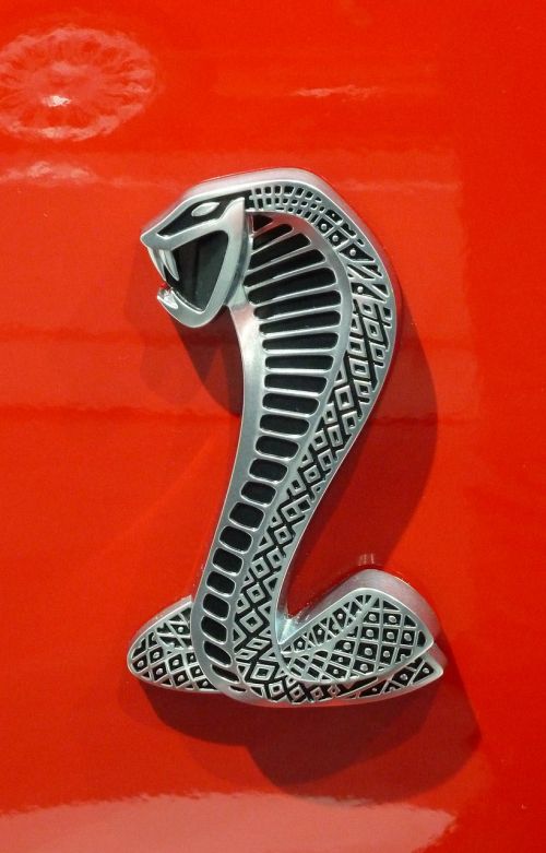 Kobra, Logotipas, Automobilis, Amerikietis, Piktograma, Simbolis