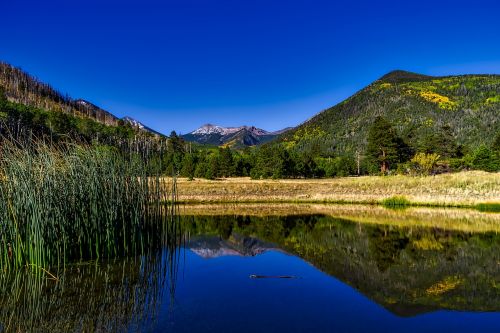 Nacionalinis Miško Kokoninas, Arizona, Hdr, Kraštovaizdis, Miškai, Medžiai, Kalnai, Pieva, Slėnis, Ruduo, Kritimas, Lapija, Spalvinga, Šalis, Dykuma, Gamta, Lauke, Tvenkinys, Ežeras, Apmąstymai