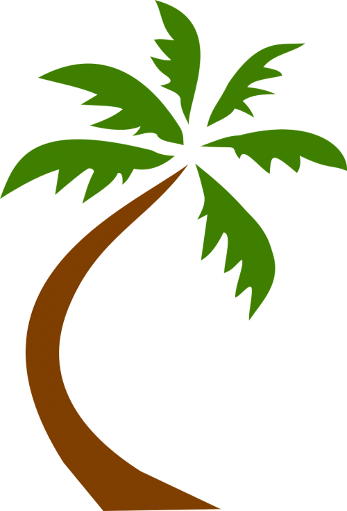Kokoso, Medis, Atogrąžų, Delnus, Havajų Kalba, Egzotiškas, Žalias, Lapai, Nemokama Vektorinė Grafika