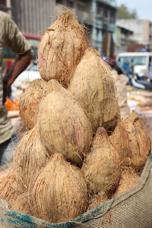 Kokosų,  Kokosų,  Indijos