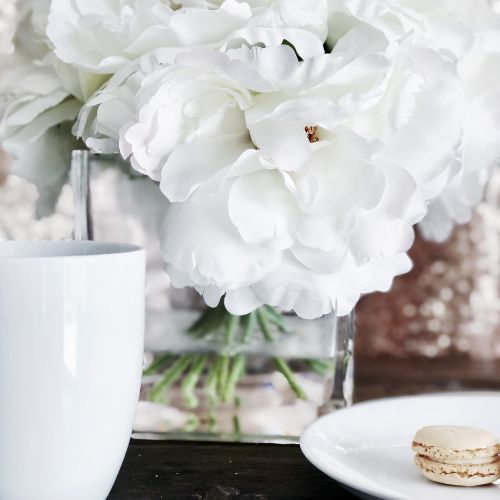 Kavos Puodelis, Baltos Gėlės, Makaronai
