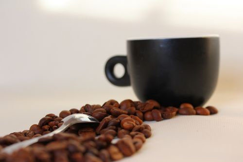 Kava, Kavos Grūdai, Taurė