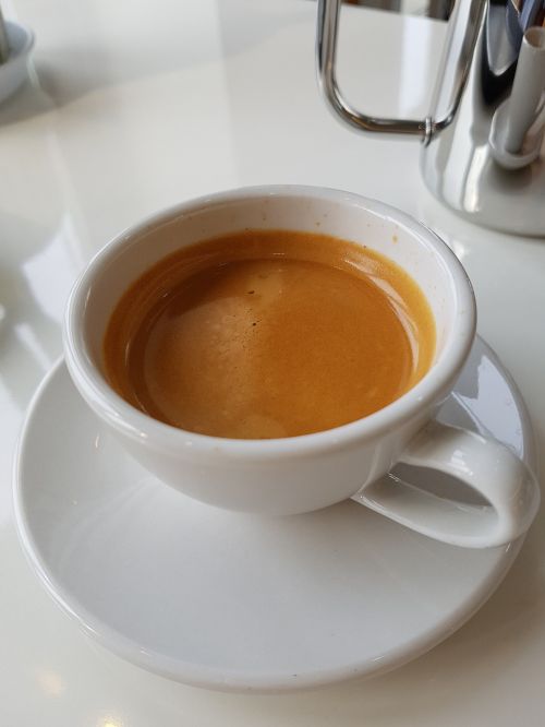 Kava, Espresso, Ryto Kava, Kavos Puodelis