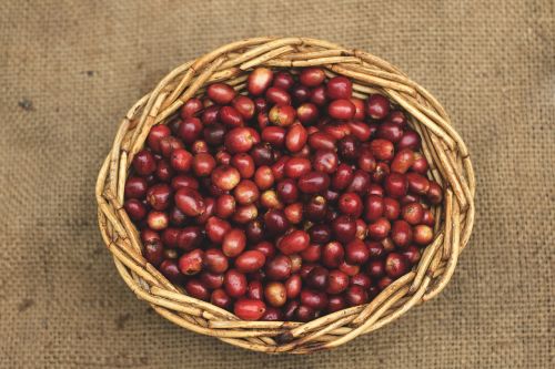 Kava, Gayo Kavos, Raudonos Pupelės, Šiaudai, Sumatra Kavos, Vaizdas Iš Viršaus