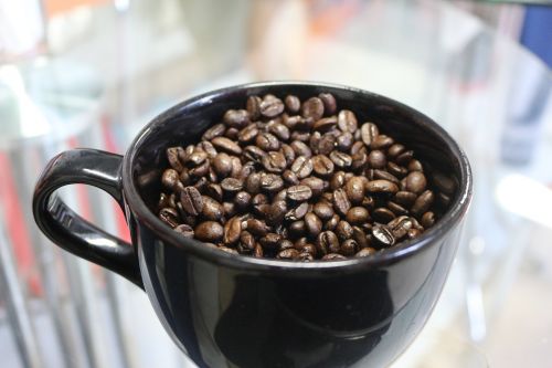 Kava, Kavos Pupelė, Kavos Puodelis