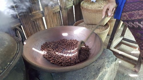 Kava, Kavos Gaminimas, Kavos Skrudinimas, Kavos Pupelė, Luwat Kavos, Tradicinė Kava, Ubud, Bali