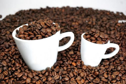 Kava,  Kofeinas,  Espresso,  Gerti,  Be Honoraro Mokesčio