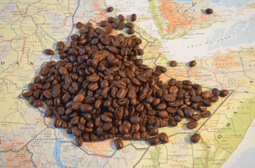 Kava, Žemėlapis, Etiopija, Pupos, Afrika, Sidamo