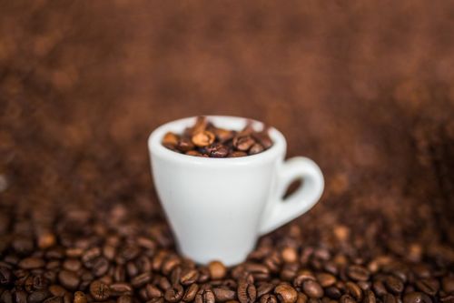 Kavos Pupelės, Espresso, Taurė, Kavinė