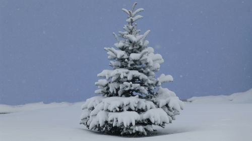 Coldsnap, Kalėdų Eglutė, Allgäu, Ruduo, Sniegas, Spalio Mėn, 2012