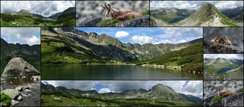Koliažas, Tatry, Kalnai, Turizmas, Lenkija, Kraštovaizdis, Aukštas Tatras, Gamta