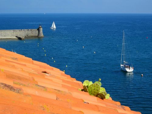 Collioure, Viduržemio Jūros, Uostas, Pyrénées-Orientales, France