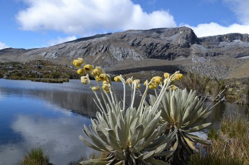 Kolumbija, Nacionalinis Parkas, Elcocuy, Pasivaikščiojimas, Žygiai, Laguna, Kalnai