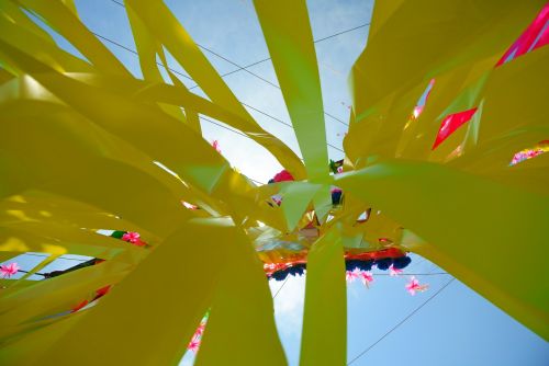 Festivalis,  Tanabata,  Japonija,  Spalvos,  Spalvos