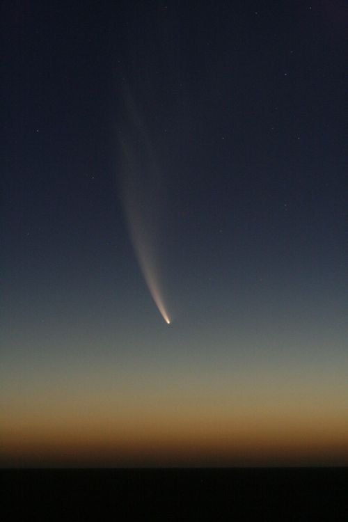 Kometa, Comet Mcnaught, Butleris, Perth, Dangus, Naktis, Vaizdingas, Uodega, C2006 P1, Mcnaught