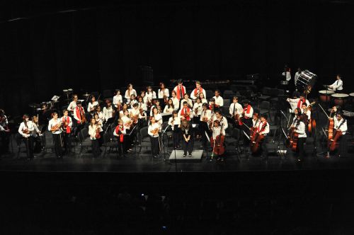 Koncertas, Orkestras, Muzika, Muzikinis, Klasikinis, Spektaklis, Simfonija, Instrumentas, Muzikantas