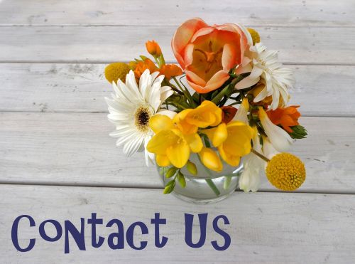 Susisiekite Su Mumis, Kontaktas, Draugiškas, Komunikacija, Paslauga, Internetas, Klientas, Skambink Mus, Elektroninis Paštas