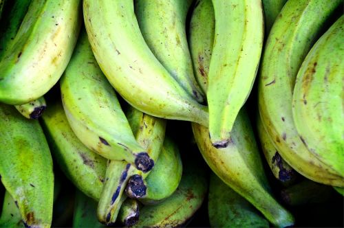 Valgyti Bananus, Bananai, Žalias, Turgus, Sveikas, Vaisiai, Mityba, Vitaminai, Prekystalis, Saulės Šviesa, Naturprodukte
