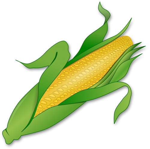 Kukurūzai, Maistas, Denmark, Augalas, Ūkis, Žemdirbystė, Geltona, Lapai, Nemokama Vektorinė Grafika