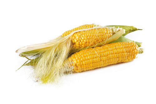 Kukurūzai, Natūralus, Prinokę, Derlius, Kritimas, Maistas, Vegetariškas, Auksas, Geltona