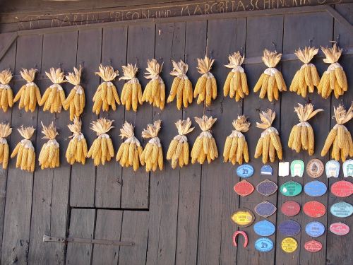 Kukurūzai, Tvartas, Alsace