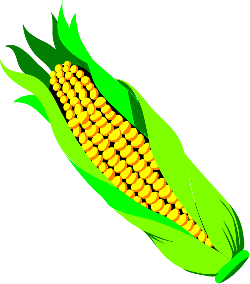 Kukurūzai, Spiglys, Žemdirbystė, Derlius, Maistas, Ausis, Pasėlių, Grūdai, Kukurūzai, Javai, Laukas, Sėkla, Nemokama Vektorinė Grafika