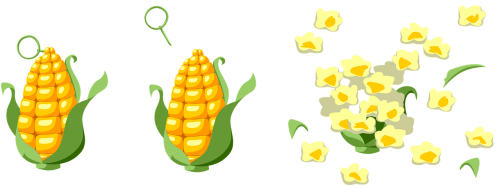 Kukurūzai, Sprogimas, Kukurūzai, Granata, Ausis