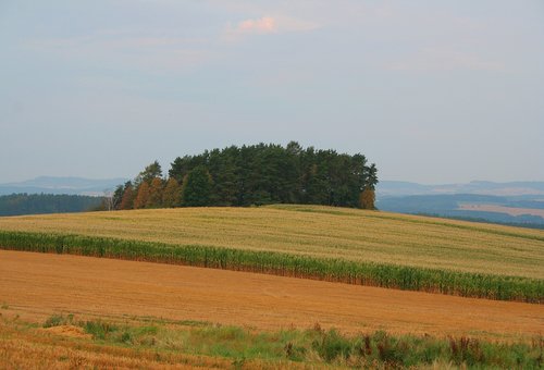 Kukurūzų,  Laukas,  Čekija,  Pobūdį,  Augalų,  Miškas,  Kraštovaizdis,  Hill,  Dangus