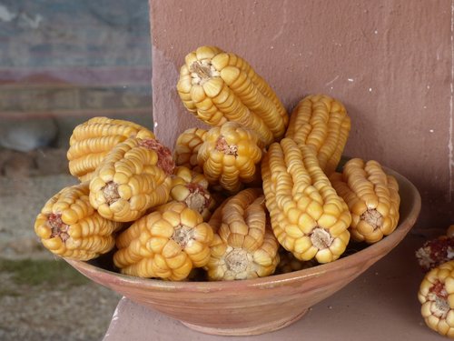 Kukurūzų,  Maisto,  Peru,  Lėkštė,  Molis