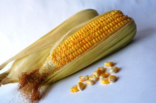 Kukurūzai, Kukurūzai, Daržovės, Grūdai, Ekologiškas, Derlius, Mityba, Vegetariškas, Pasėlių, Cukriniai Kukurūzai, Mityba