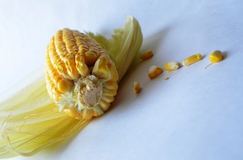 Kukurūzai, Kukurūzai, Daržovės, Grūdai, Ekologiškas, Derlius, Mityba, Vegetariškas, Pasėlių, Cukriniai Kukurūzai
