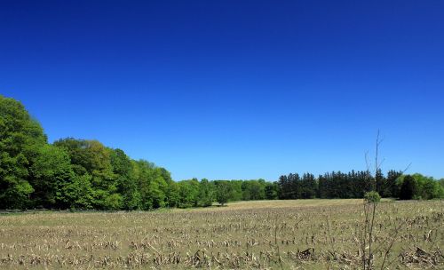 Kukurūzų Laukai, Bronte Creek Valstijos Parkas, Kanada, Ontarijas, Laukai, Kraštovaizdis