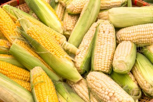 Kukurūzai,  Daržovių,  Ūkininkų & Nbsp,  Rinka,  Ingredientas,  Maistas,  Cob,  Saldūs & Nbsp,  Kukurūzai,  Pagaminti,  Kukurūzų Burbuolės