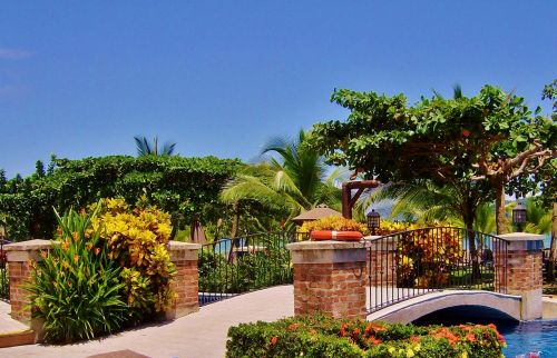 Kosta Rika, Los Suenos Marriott, Parkas, Gamta, Architektūra, Centrinė Amerika, Flora, Tiltas