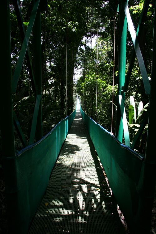 Costa & Nbsp,  Rica,  Kabantis,  Tiltas,  Kosta Rika Pakabintas Tiltas