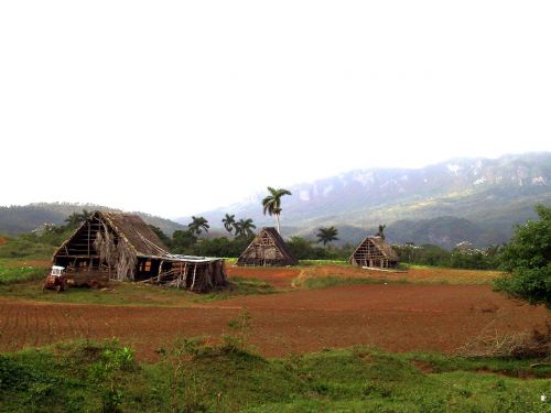 Kotedžai, Raudona Žemė, Tabako Plantacija, Kuba