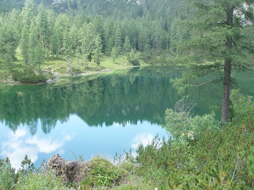 Skaičiuoti Mountain Lake,  Styria,  Austrija,  Vandens,  Atostogos,  Bergsee,  Vasara,  Žygiai,  Miškas