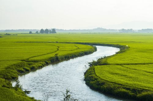 Šalis, Gamta, Ryžiai, Upė, Vietnamas