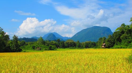 Šalies Pusė, Laosas, Laukas, Gamta, Ūkis, Kraštovaizdis, Kalnas, Žemdirbystė, Indochina