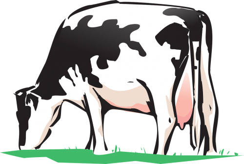 Karvė, Gyvunu Ferma, Nemokama Vektorinė Grafika