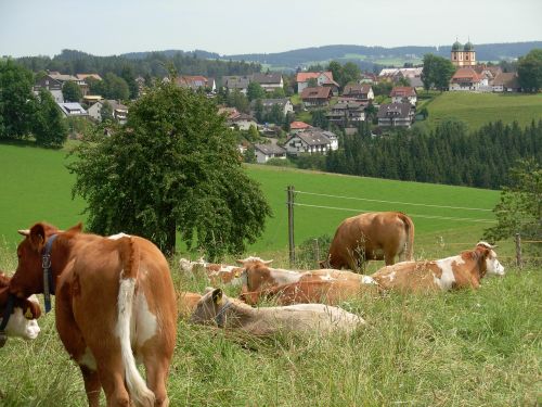 Karvė, Kraštovaizdis, Vokietija