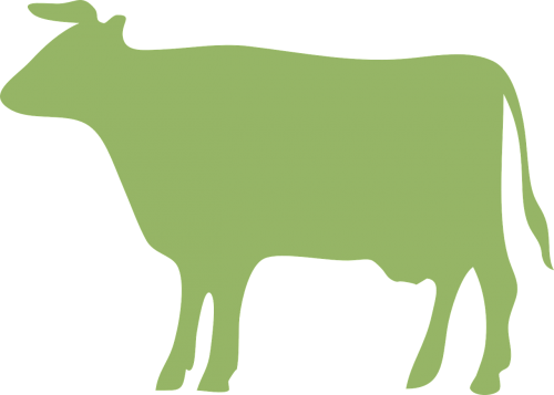 Karvė, Galvijai, Žalias, Jautis, Nemokama Vektorinė Grafika