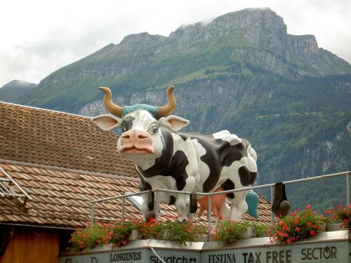 Karvė, Skulptūra, Šveicarija, Brienz