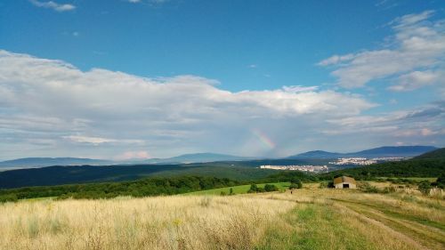 Karvės, Pieva, Dangus, Panorama