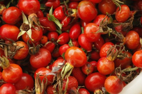 Crataegus, Vaisiai, Raudona, Maistas, Sveikas, Natūralus, Vasara