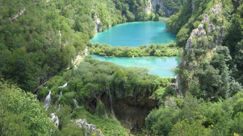 Kroatija, Ežeras, Miškas