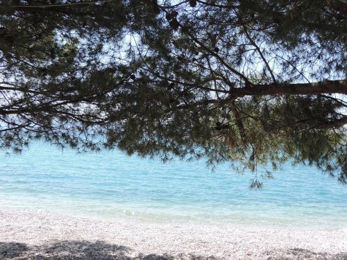 Kroatija, Akmens Paplūdimys, Spygliuočių Miškas