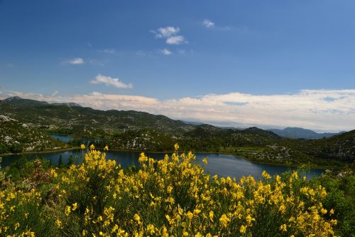 Kroatija, Parkas, Vanduo, Ežeras, Vaizdas, Gamta