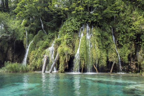 Kroatija, Krioklys, Vanduo, Ežeras, Žalias, Gamta, Forrest