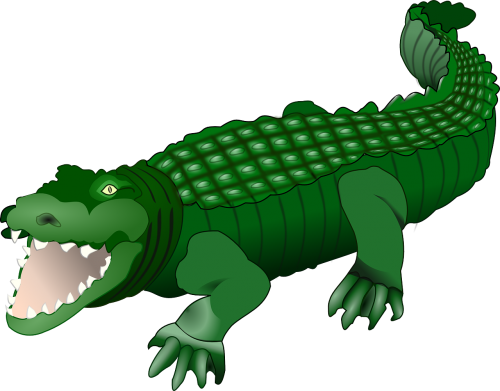 Krokodilas, Aligatorius, Gyvūnas, Ropliai, Žalias, Laukinė Gamta, Nemokama Vektorinė Grafika